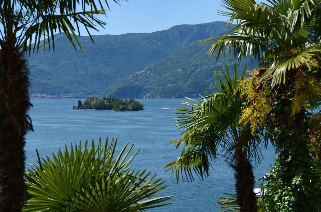 Arancio Ascona